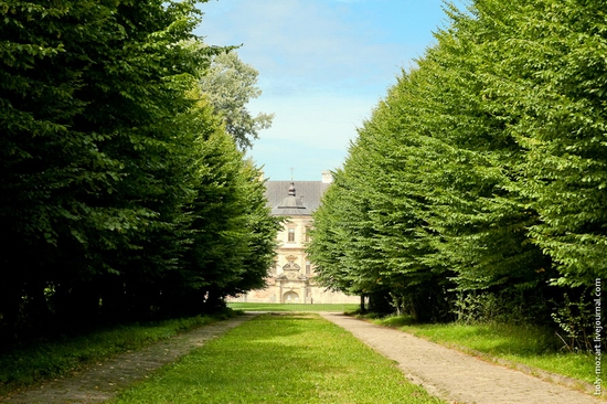 Podgoretsky Castle, Lviv oblast, Ukraine view 13