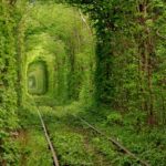 Beautiful “Tunnel of Love” in Rivne oblast