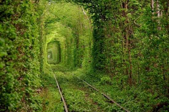 Tunnel of Love, Rivne oblast, Ukraine view 1