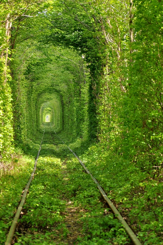 Tunnel of Love, Rivne oblast, Ukraine view 2