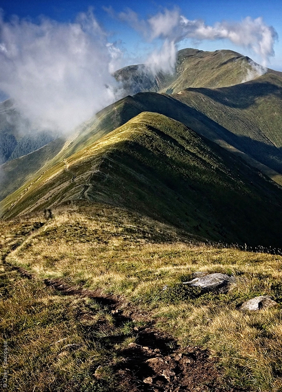 Ukrainian Carpathians landscape 17