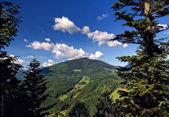 Ukrainian Carpathians landscape 5