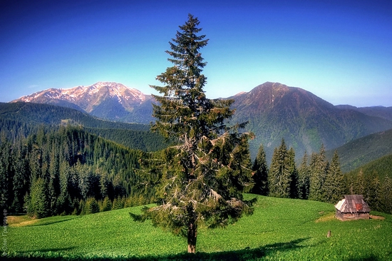 Ukrainian Carpathians landscape 6