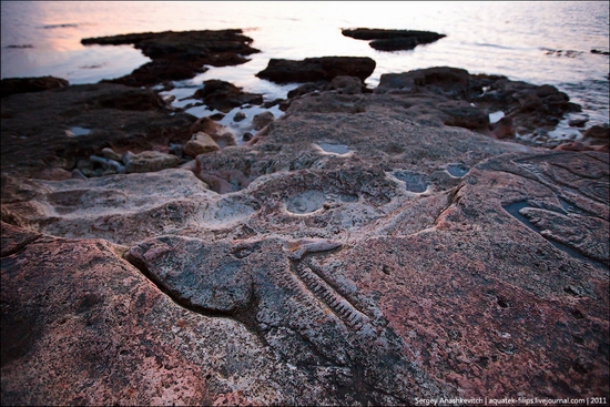 Drawings on the rocks near Sevastopol, Ukraine view 5