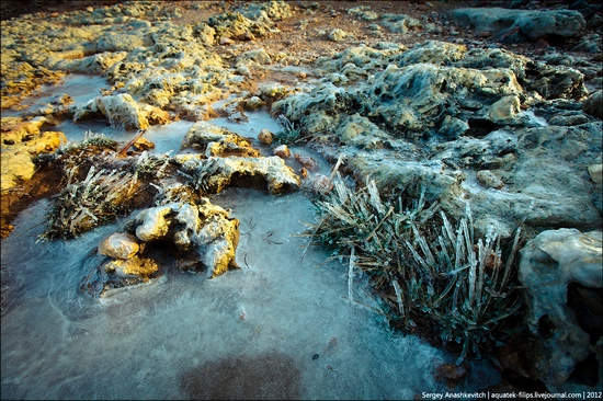 Frozen beach - the lair of aliens, Sevastopol, Ukraine view 10