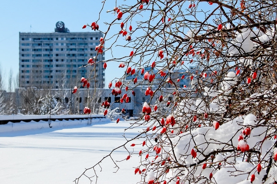 Snow-covered Pripyat, Ukraine view 10