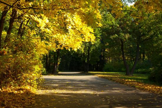 Sofiyivka dendrological park, Uman, Ukraine view 4