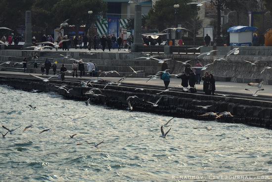 Early spring in Yalta, Ukraine view 6