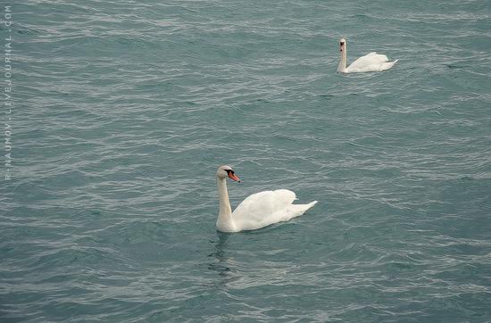 Early spring in Yalta, Ukraine view 9