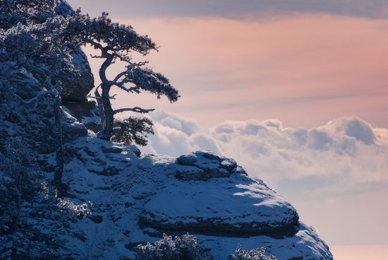 Mysteries of foggy and frozen Crimea, Ukraine view 1