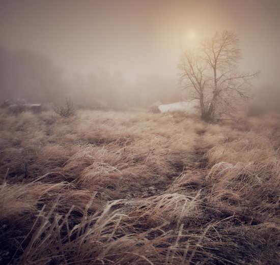 Mysteries of foggy and frozen Crimea, Ukraine view 10