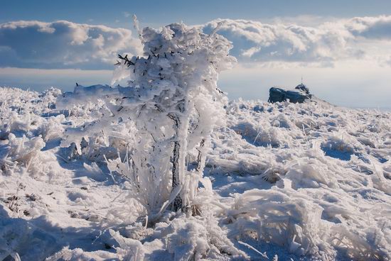 Mysteries of foggy and frozen Crimea, Ukraine view 15