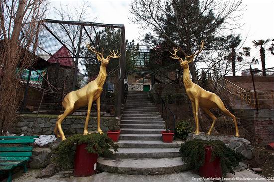 Yalta Zoo Skazka, Ukraine view 15