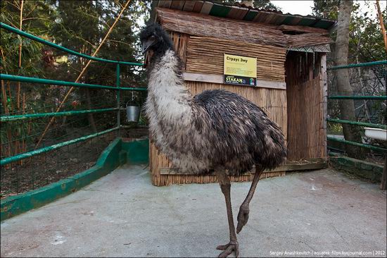 Yalta Zoo Skazka, Ukraine view 9