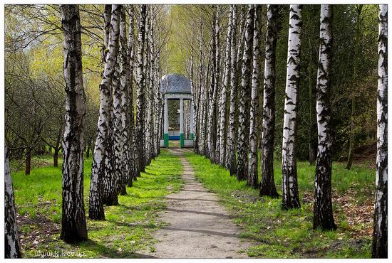 Folk architecture and life museum, Ukraine view 13