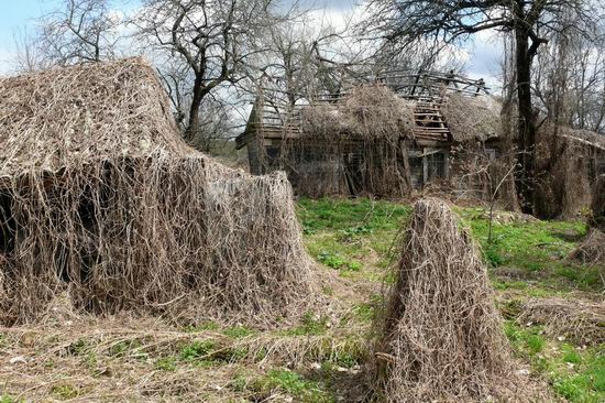 Spring in the Chernobyl exclusion zone, Ukraine