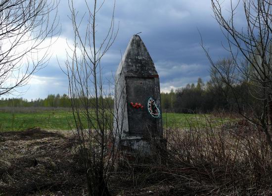 Spring in the Chernobyl exclusion zone, Ukraine view 10