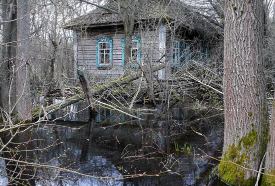 Spring in the Chernobyl exclusion zone, Ukraine view 11