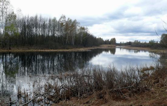 Spring in the Chernobyl exclusion zone, Ukraine view 12