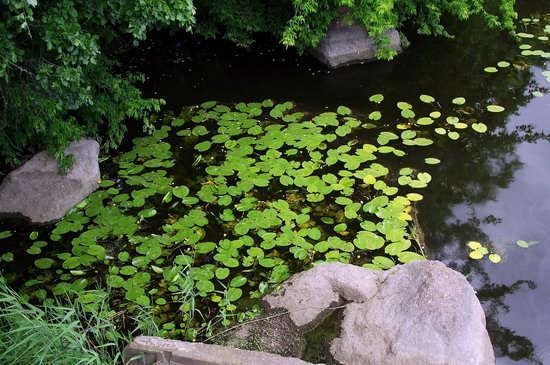 Korsun-Shevchenkovskiy Park, Ukraine photo 10