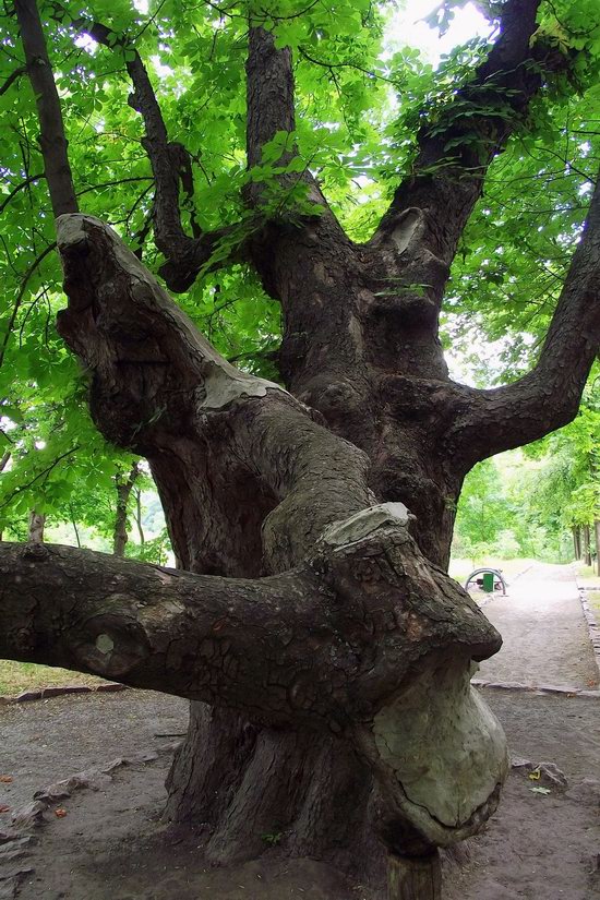 Korsun-Shevchenkovskiy Park, Ukraine photo 11