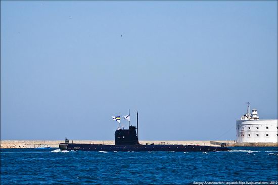 The parade on the day of the Navy in Sevastopol photo 18