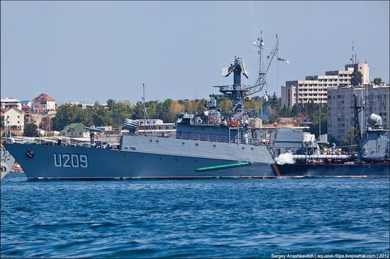 The parade on the day of the Navy in Sevastopol photo 21