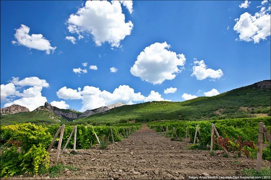 Picturesque landscapes of Crimea, Ukraine photo 14