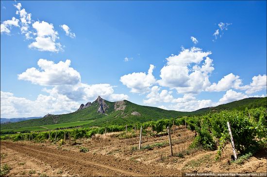 Picturesque landscapes of Crimea, Ukraine photo 15