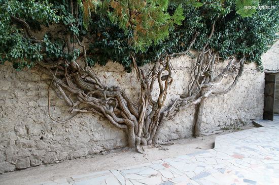 Khan's Palace, Bakhchisaray, Crimea, Ukraine photo 15