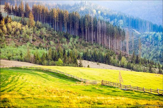 Beautiful sceneries of Zakarpattia region, Ukraine photo 10