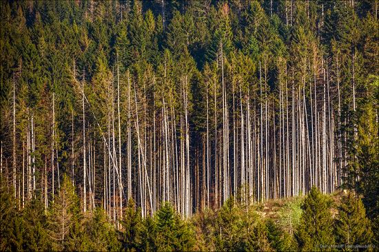 Beautiful sceneries of Zakarpattia region, Ukraine photo 11