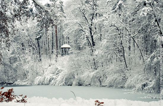 Snowy Alexandria park, Bila Tserkva, Ukraine photo 2