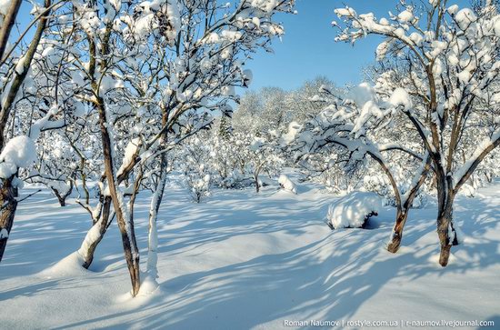 Snowy Alexandria park, Bila Tserkva, Ukraine photo 20