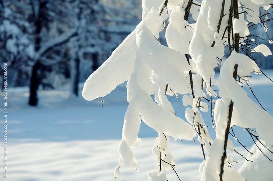 Snowy Alexandria park, Bila Tserkva, Ukraine photo 23