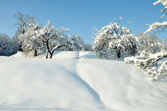 Snowy Alexandria park, Bila Tserkva, Ukraine photo 25