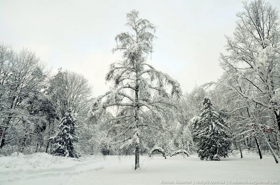 Snowy Alexandria park, Bila Tserkva, Ukraine photo 4