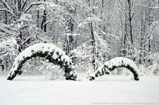 Snowy Alexandria park, Bila Tserkva, Ukraine photo 5