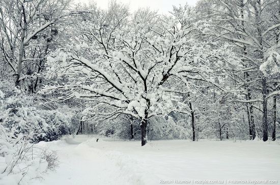 Snowy Alexandria park, Bila Tserkva, Ukraine photo 6