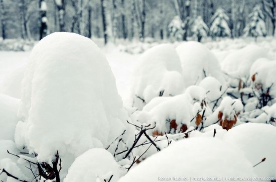 Snowy Alexandria park, Bila Tserkva, Ukraine photo 7