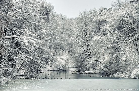 Snowy Alexandria park, Bila Tserkva, Ukraine photo 9