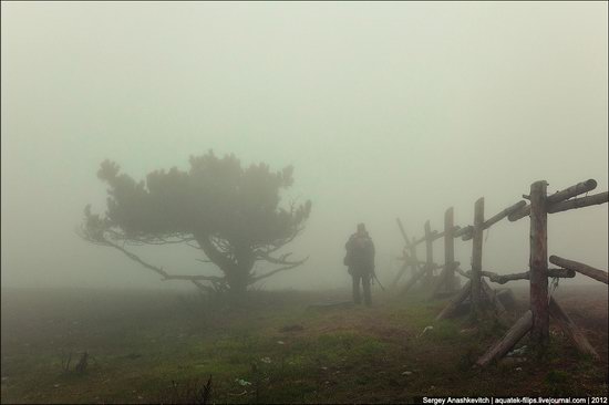 Ai-Petri - foggy and windy peak, Crimea, Ukraine photo 8