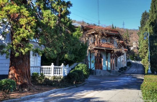 Winter Yalta, Crimea, Ukraine photo 15