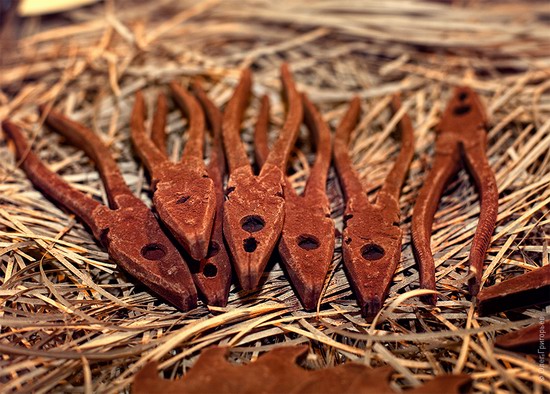 National Day of Chocolate in Lviv, Ukraine photo 19