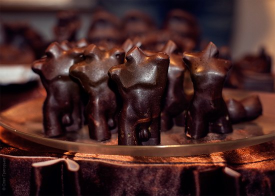 National Day of Chocolate in Lviv, Ukraine photo 3