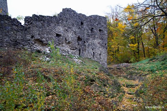 Nevitsky castle, Zakarpattia region, Ukraine photo 16