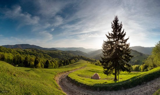 Spring in the Carpathian Mountains, Ukraine photo 1