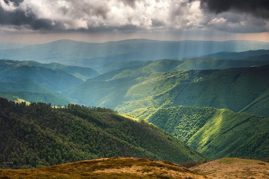 Spring in the Carpathian Mountains, Ukraine photo 11