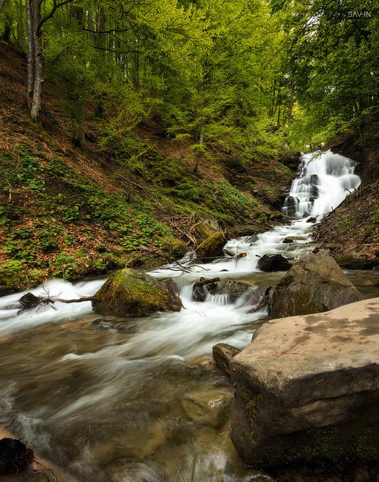 Spring in the Carpathian Mountains, Ukraine photo 15