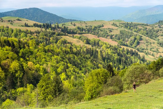 Spring in the Carpathian Mountains, Ukraine photo 16